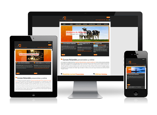 Diseño web responsive – Academia de holandés Academia de Holandes